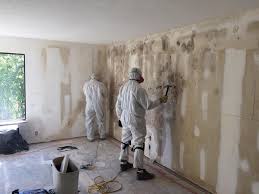 Why You Should Choose Our Mold Remediation Services in Taft, TX